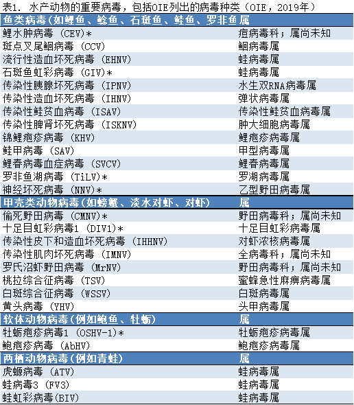 16个国际机构、20名专家联合发文：没有证据表明SARS-CoV-2（人类COVID-19病原）会感染水产动物或污染水产品-1.png