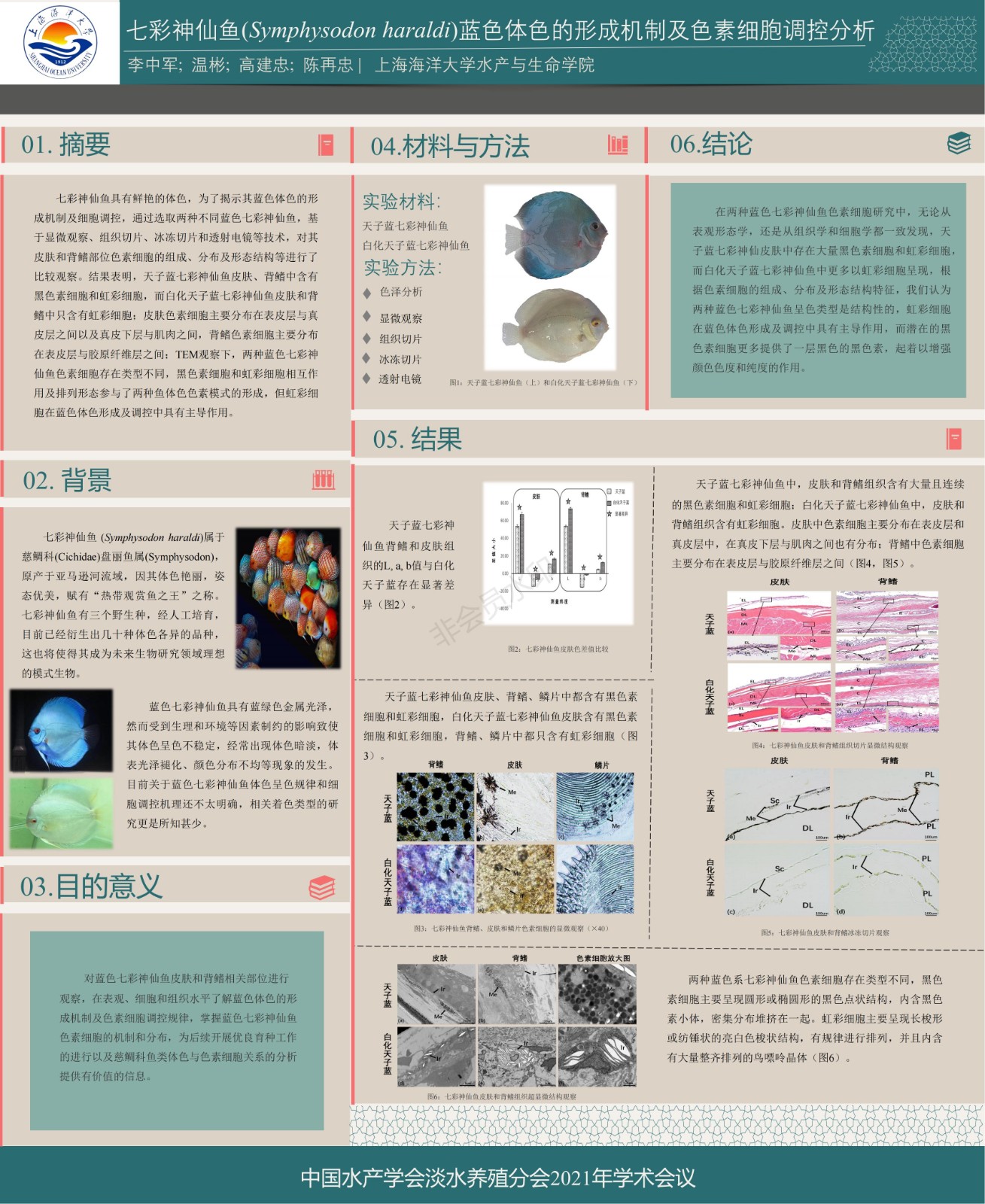 电子墙报集_09.jpg